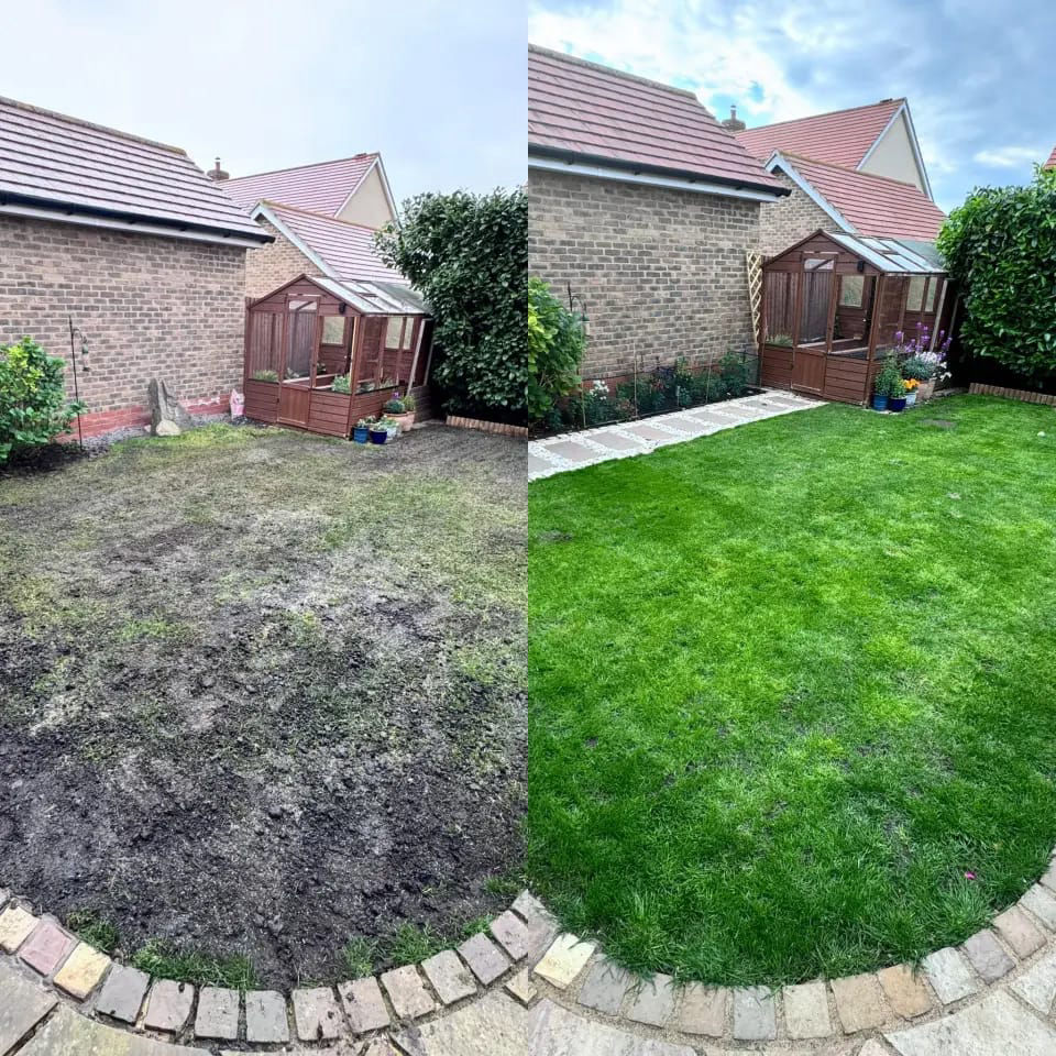 Garden Lawn Transformation Before and After